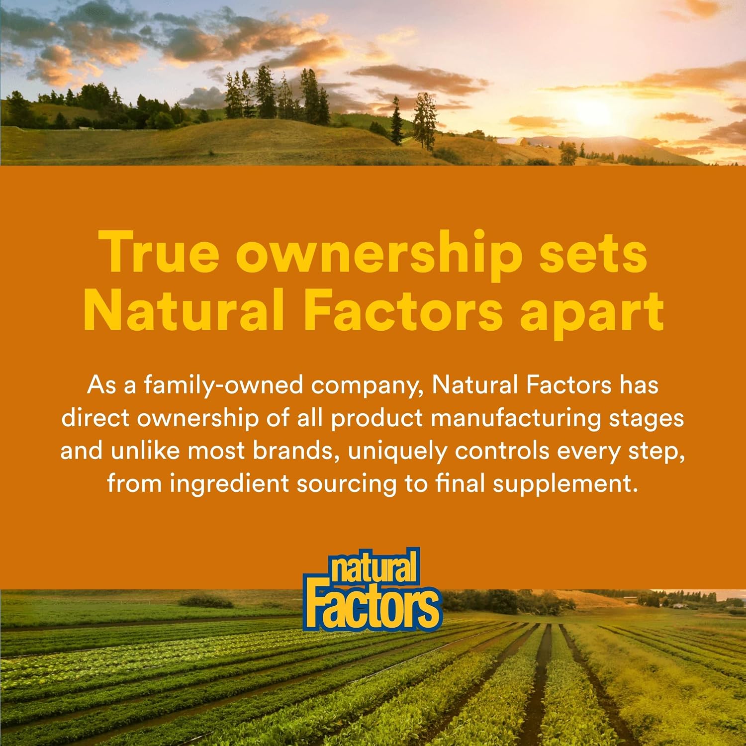 Natural Factors Complejo B 100 mg, Liberación Prolongada, 90 Comprimidos
