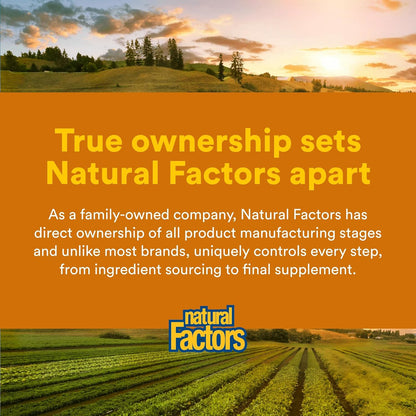 Natural Factors Complejo B 100 mg, Liberación Prolongada, 90 Comprimidos – Image 7