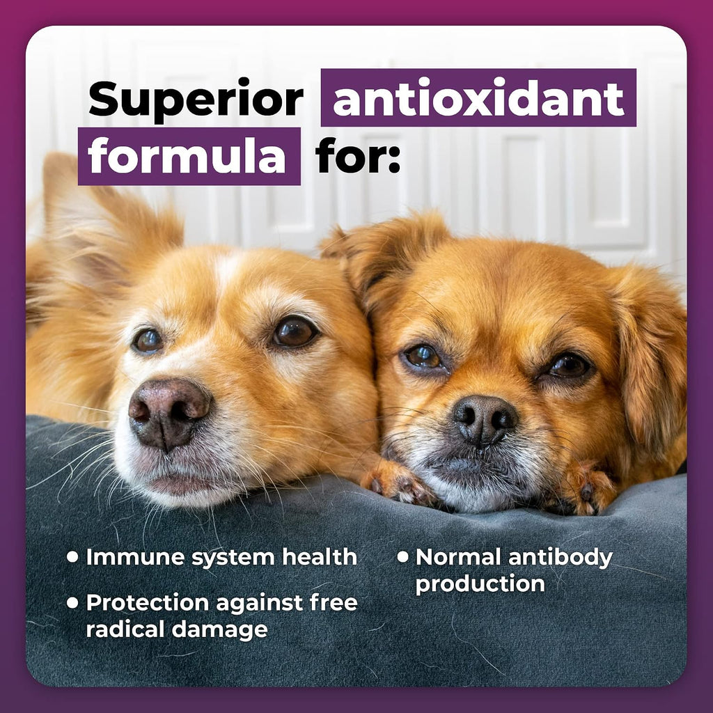 VetriScience Immunity Health Immune Plus Cápsulas para Perros Medianos y Grandes, 60 uds.