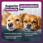VetriScience Immunity Health Immune Plus Cápsulas para Perros Medianos y Grandes, 60 uds.