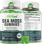 EnvyCure Gominolas de Musgo Marino Sin Azúcar - 2 Paquetes (60 Gominolas) con Yodo, Vitamina D3 y Vinagre de Manzana