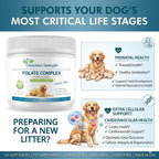 Folate para perros para promover la salud cardiovascular y prenatal, apoyar la síntesis de ADN y el mantenimiento celular, ácido fólico para perros con zinc, biotina, hierro y vitamina B12, 120 masticables blandos