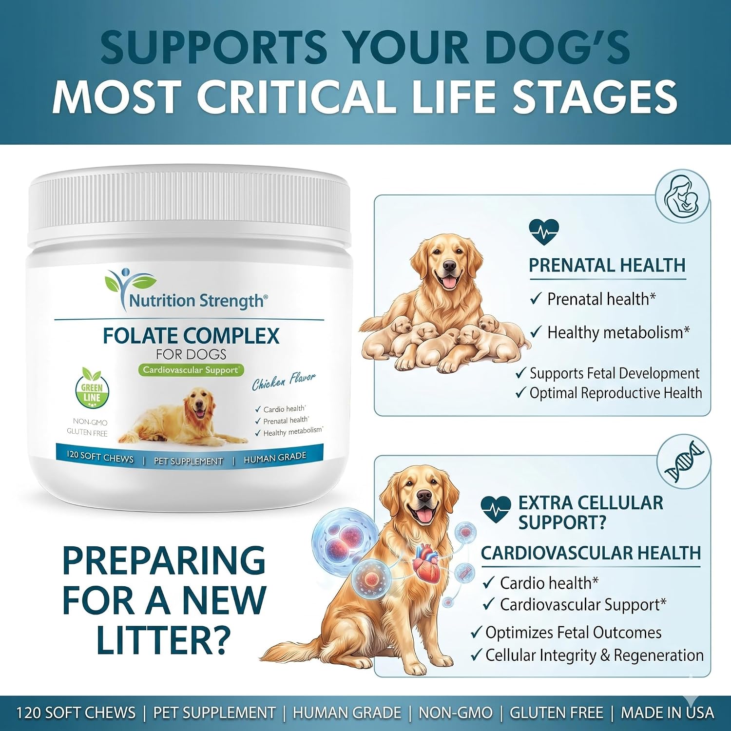 Folate para perros para promover la salud cardiovascular y prenatal, apoyar la síntesis de ADN y el mantenimiento celular, ácido fólico para perros con zinc, biotina, hierro y vitamina B12, 120 masticables blandos
