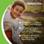 NaturesPlus Animal Parade Multivitamínico Masticable para Niños - Sabor Cereza - 180 Comprimidos