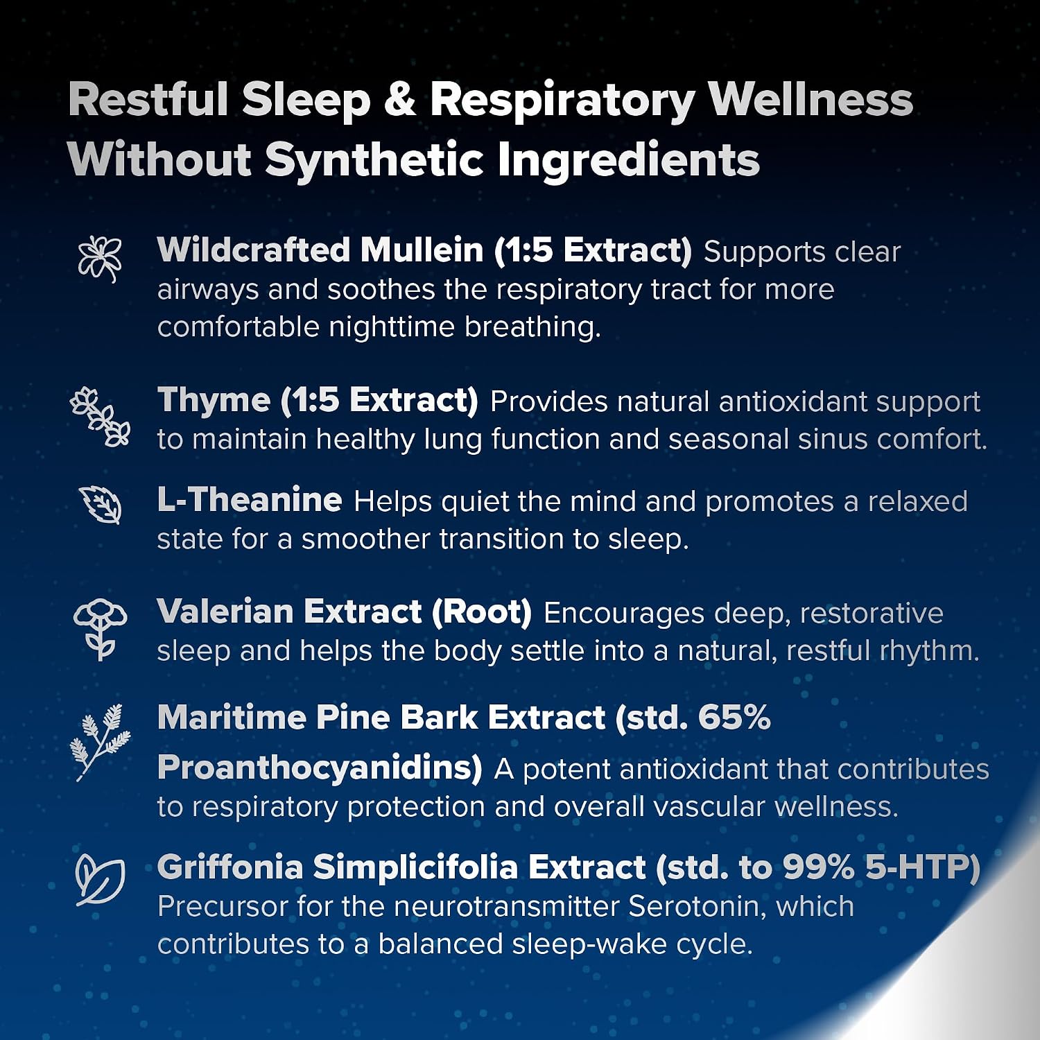 BREATHE PM, Cápsulas Nocturnas 6 en 1 con Mullein para la Salud Pulmonar (60 Cápsulas - 30 Días)