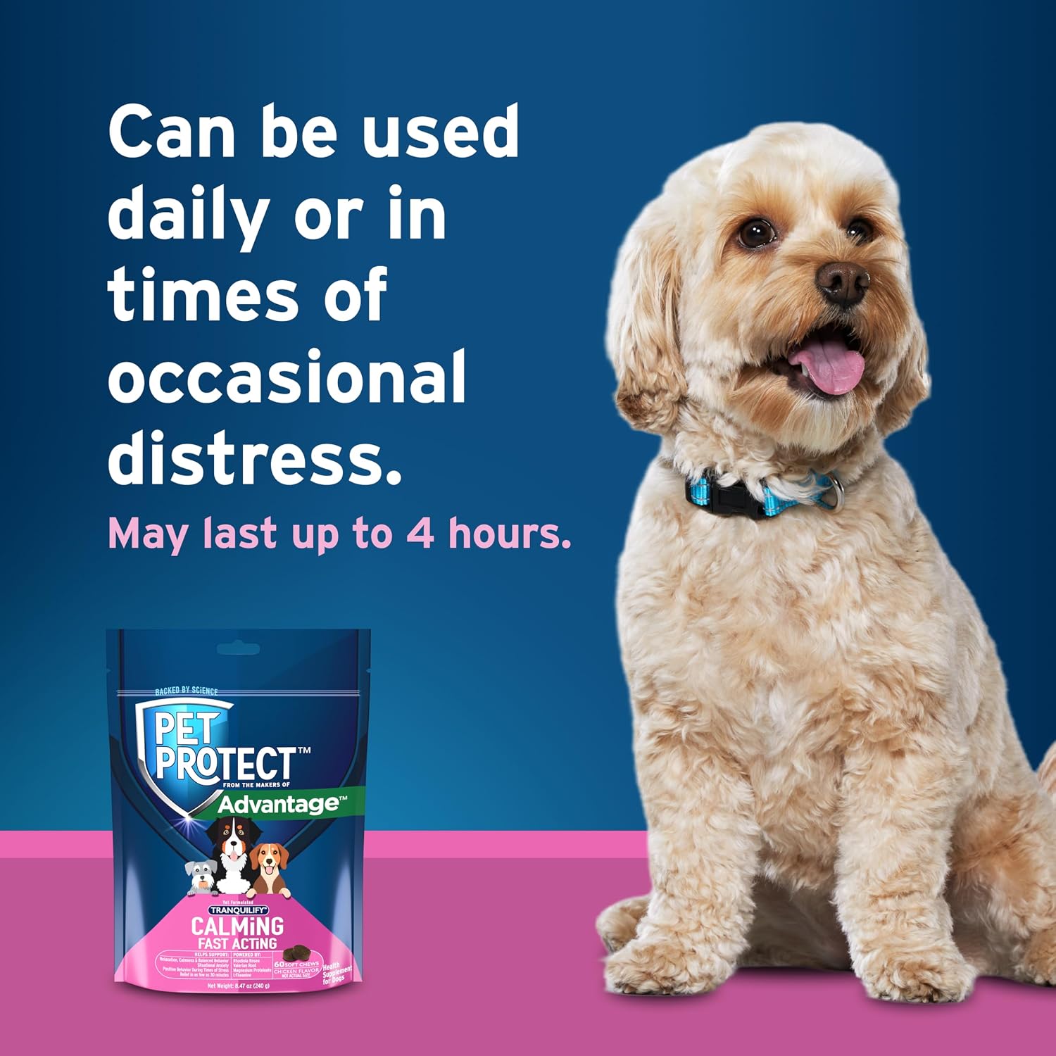 Pet Protect Tranquilify - Suplemento Calmante de Acción Rápida para Perros, Masticables Sabor Pollo (60 unidades)