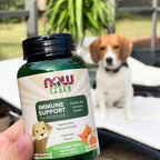 NOW Pet Health, Immune Support Supplement for Dogs and Cats, 90 Chewable Tablets