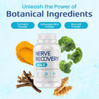 Nerve Recovery Max - Suplemento Avanzado para el Soporte Nervioso con Vitamina D3 y Ácido Alfa Lipólico