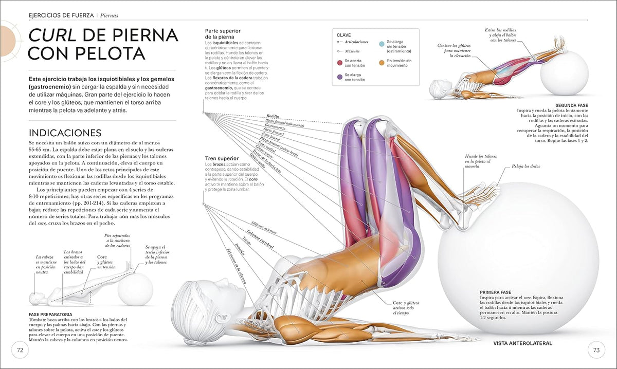 Entrenamiento de fuerza (Science of Strength Training): Mejora tu técnica, evita lesiones, perfecciona tu entrenamiento – Image 5