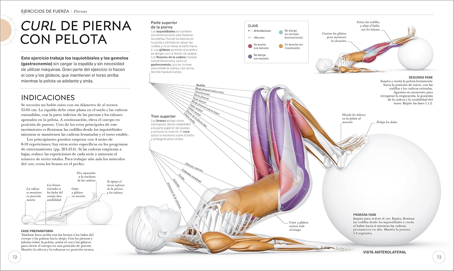 Entrenamiento de fuerza (Science of Strength Training): Mejora tu técnica, evita lesiones, perfecciona tu entrenamiento
