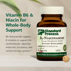 Standard Process B6-Niacinamida - Suplemento de Vitaminas B6 y Niacinamida - 90 Comprimidos