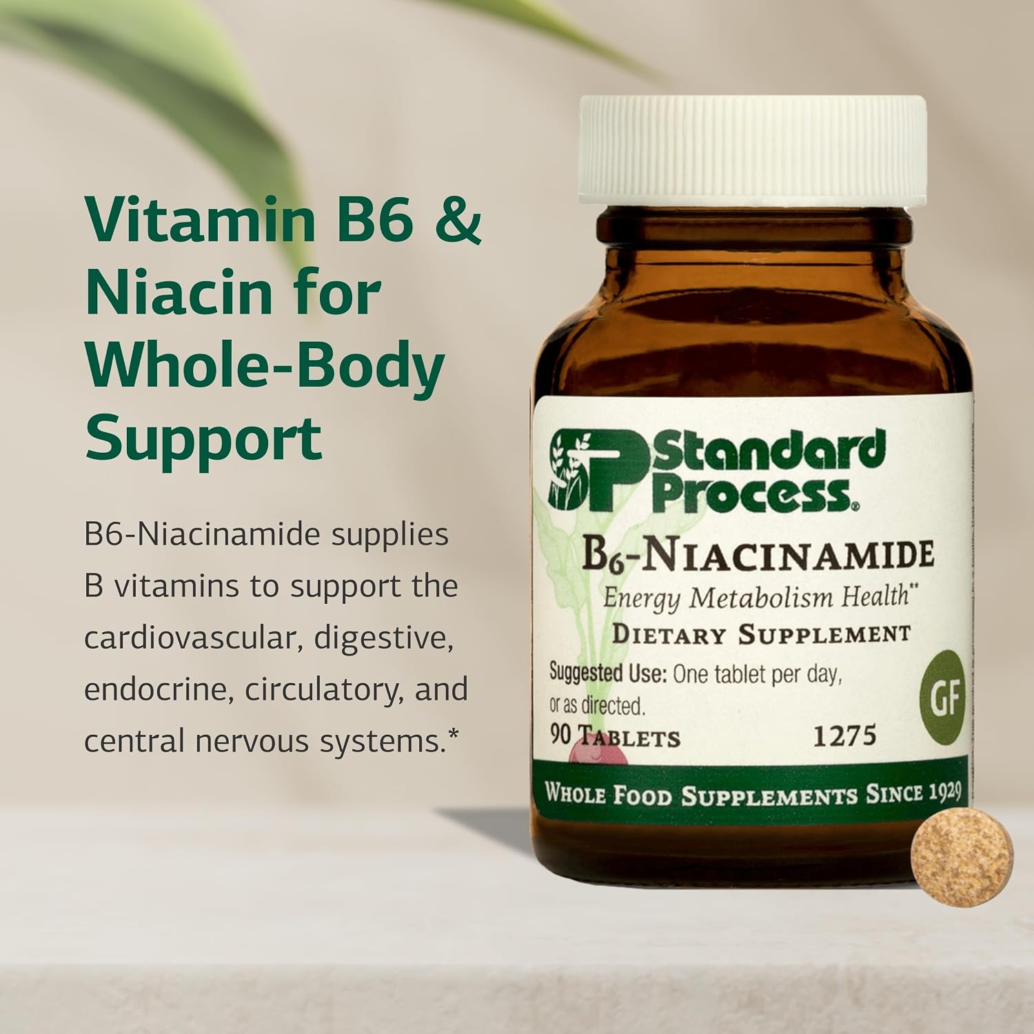 Standard Process B6-Niacinamida - Suplemento de Vitaminas B6 y Niacinamida - 90 Comprimidos