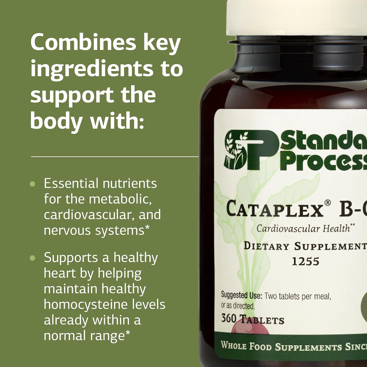 Standard Process Cataplex B-GF - B complex for nervous system and energy - 360 tablets