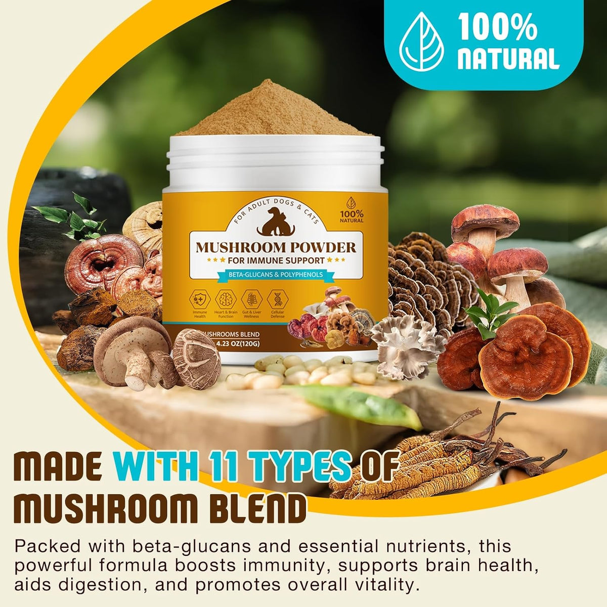Organic Mushroom Supplement Powder for Dogs – Reishi y Cordyceps : conocidas por su potencial para apoyar la – Image 2