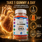 VAITE DHEA 50mg Gominolas para Hombres y Mujeres – 60 Unidades