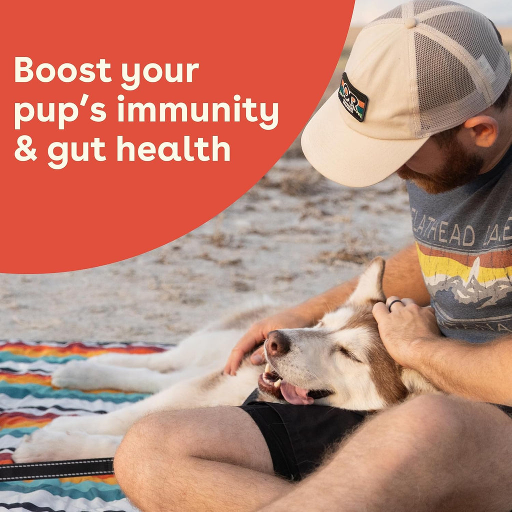 Pupford Suplemento de Salud Intestinal e Inmunidad para Cachorros y Perros Adultos, Sabor Mantequilla de Cacahuete y Jalea, 180g
