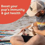 Pupford Suplemento de Salud Intestinal e Inmunidad para Cachorros y Perros Adultos, Sabor Mantequilla de Cacahuete y Jalea, 180g