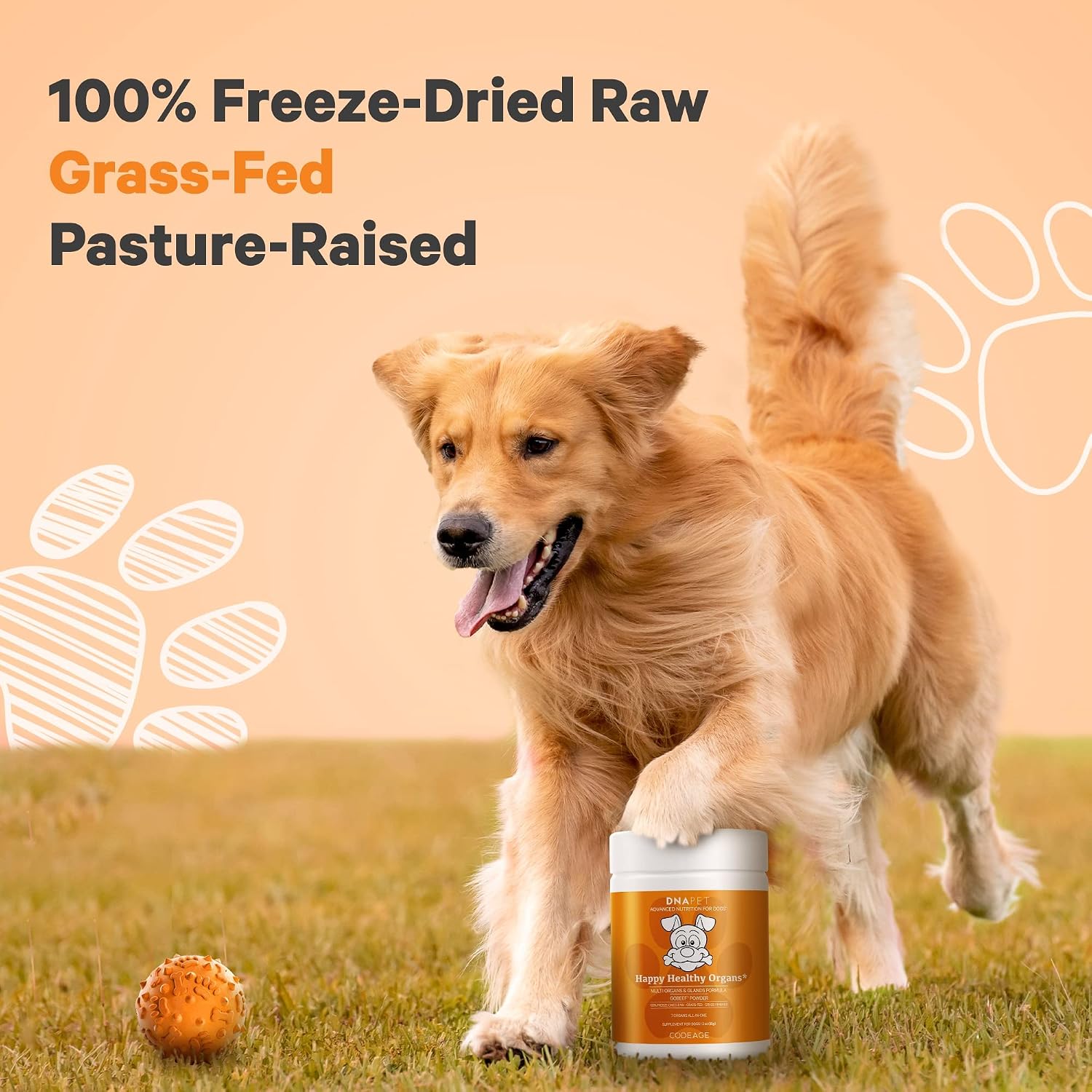 DNA PET Happy Healthy Órganos y Glándulas para Perros, Suplemento Multiorgánico de Hígado, Corazón, Riñón, Bazo, Páncreas, Médula Ósea y Timo Bovino, 85 g