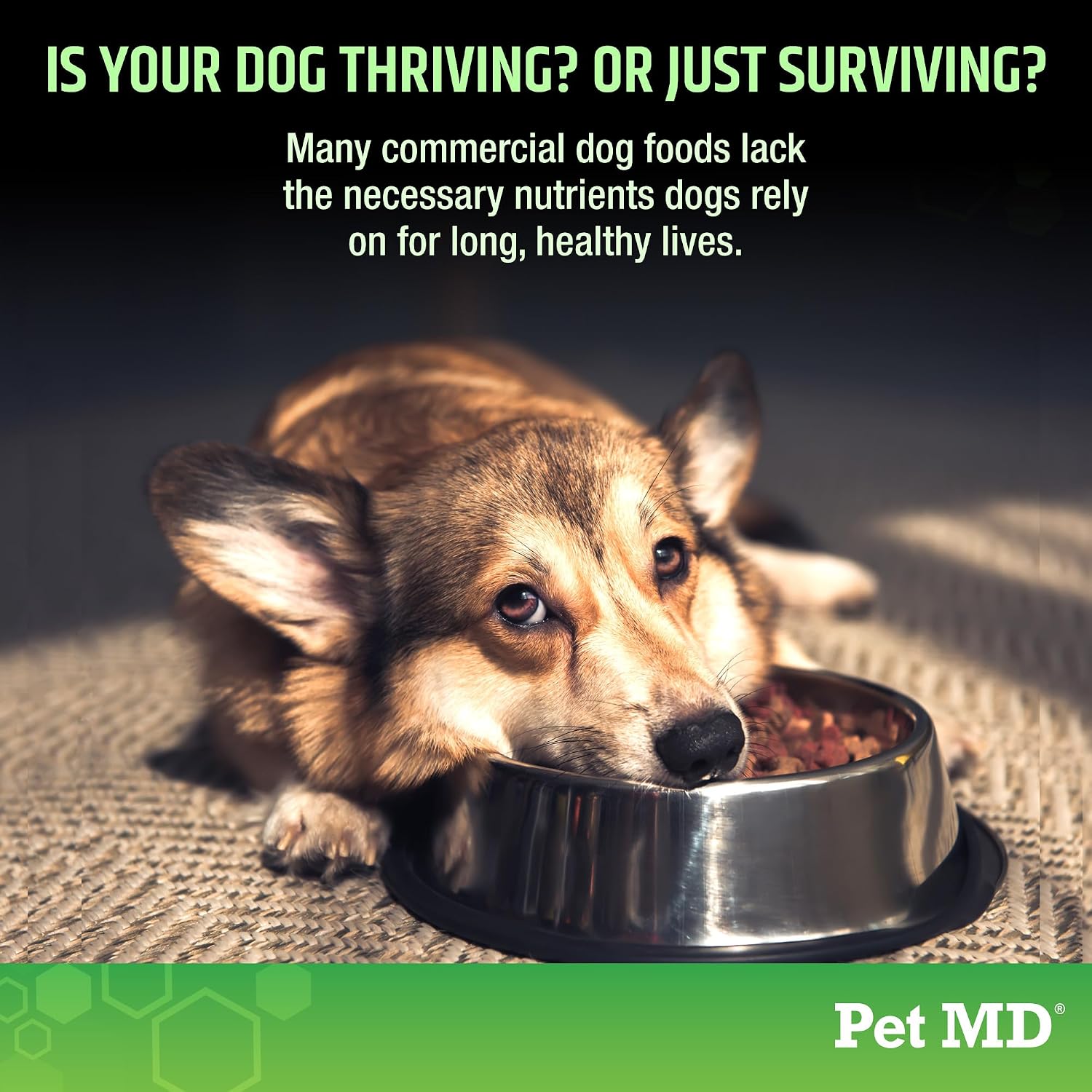 Pet MD Multivitamínico 5en1 para Perros - 30 Vitaminas, Minerales y Nutrientes Esenciales - 60 Comprimidos