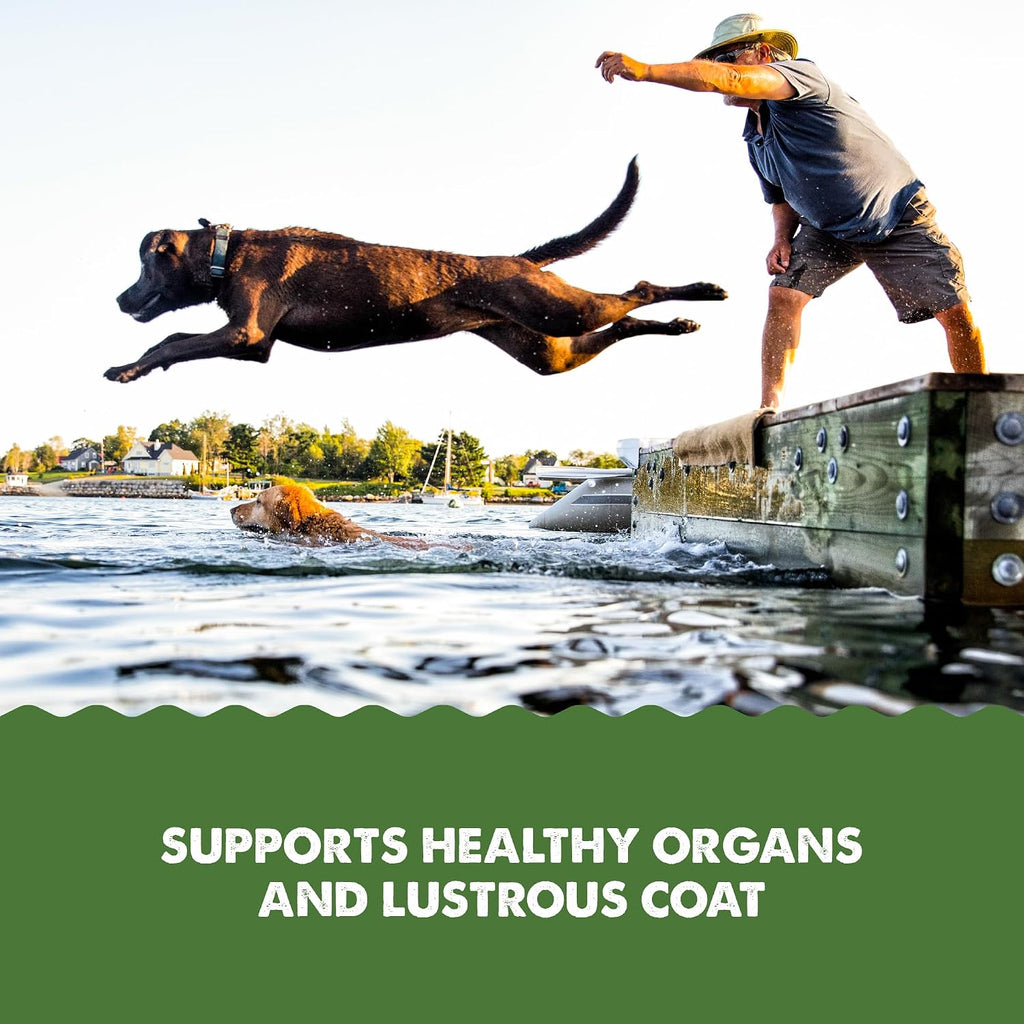Grizzly Pet Products Algal Plus Omega 3-6-9 Suplemento para Perros y Gatos, 473 ml