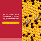 Natural Factors, Bee Propolis Extract 500 mg, 90 Capsules