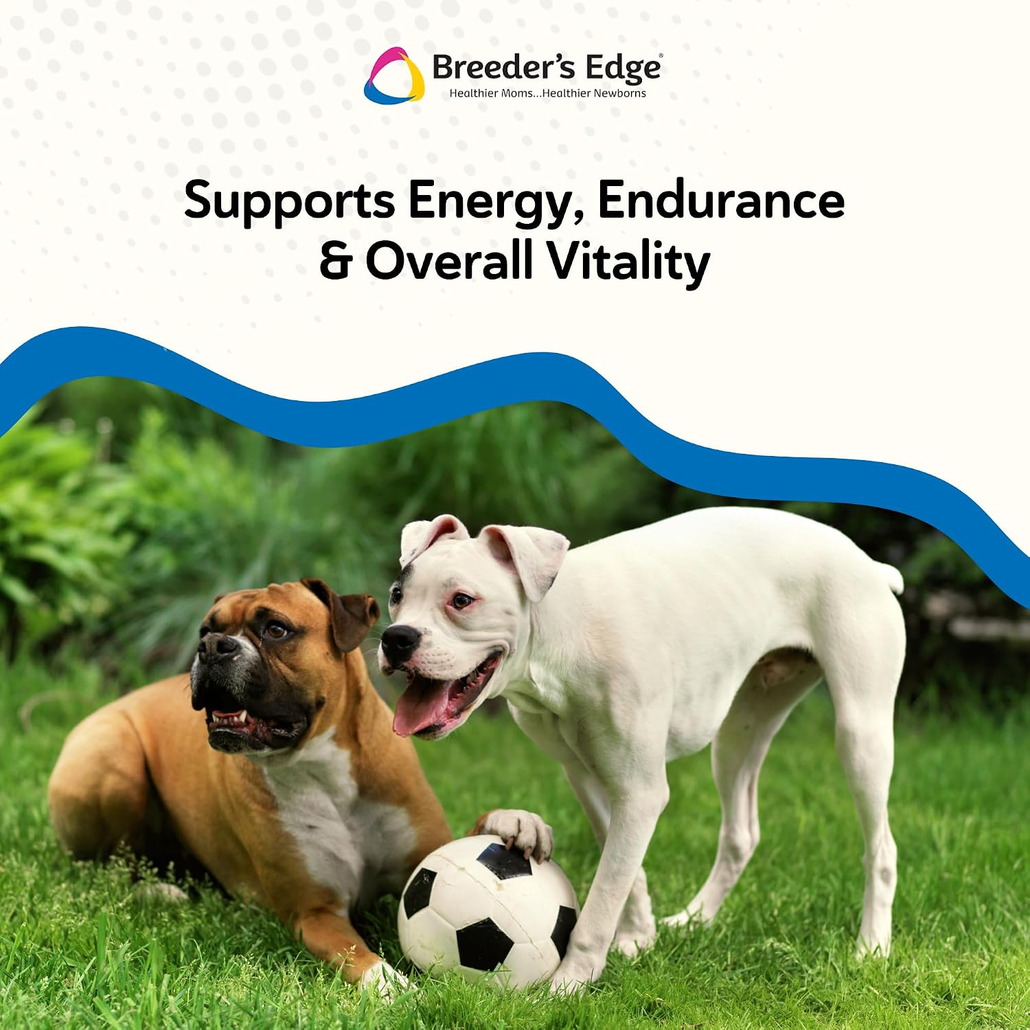 Breeder's Edge Oxy Stud Bocadillos de Carne - 30 unidades