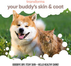 Buddycare Aceite de Salmón Escocés para Perros y Gatos (500 ml)