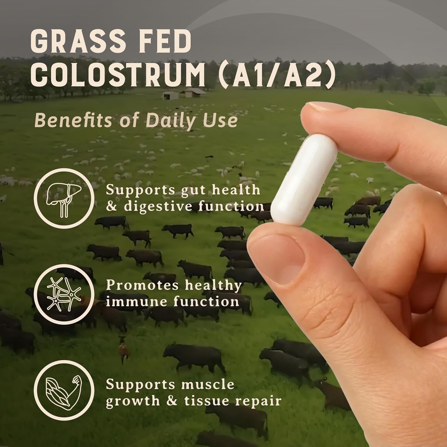 HEART & SOIL Colostro Bovino 100% Grass Fed – 3000mg, 180 Cápsulas