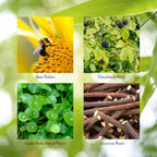 Nature's Sunshine Energ-V - Herbal Blend to Support Energy Levels (100 Capsules)