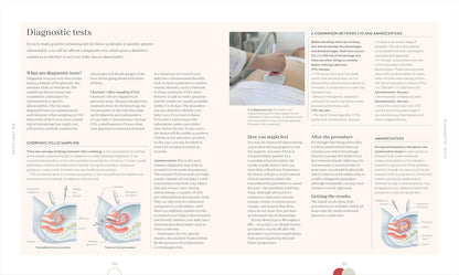 Pregnancy Day by Day: Count Down Your Pregnancy Day by Day with Advice from a Team of Experts – Image 6