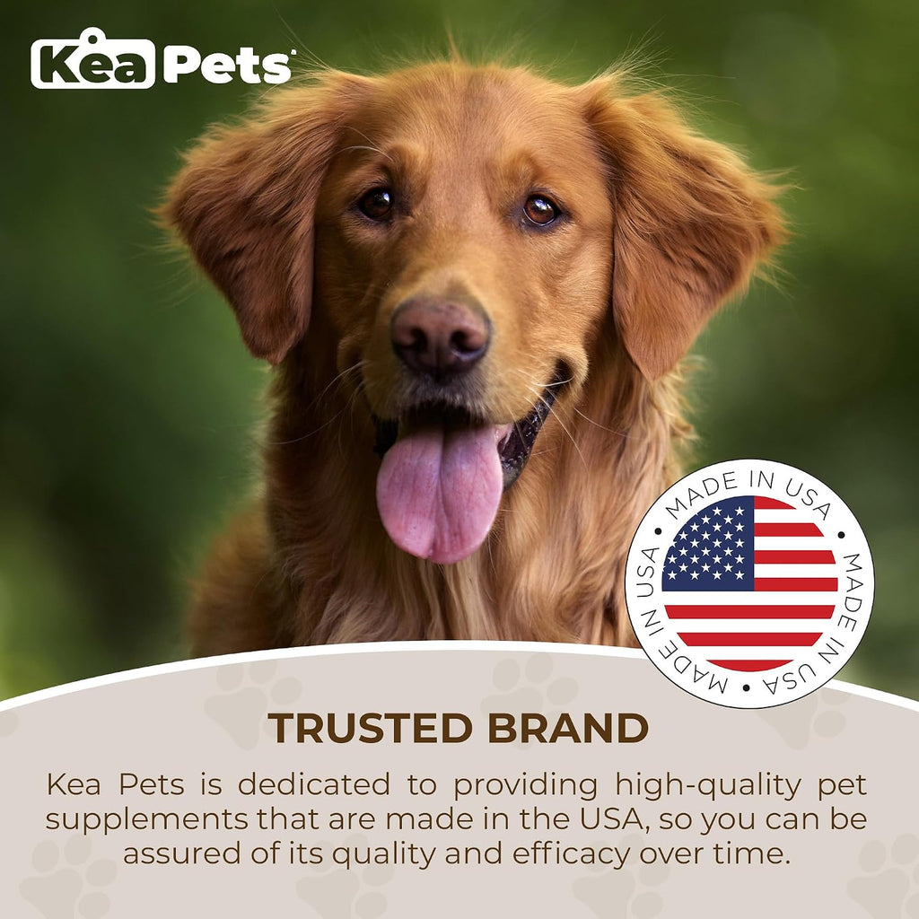 Doggie Condiments Suplemento Respiratorio para Perros - Apoyo Natural para la Respiración, Congestión y Tos