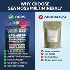 Clean Nutraceuticals Sea Moss Black Seed Oil Ashwagandha Turmeric Bladderwrack Burdock con Vitamina C y D3, 120 cápsulas