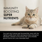 Sun Chlorella Sun Premios para Mascotas - Suplemento verde superfood para perros y gatos - 120 premios