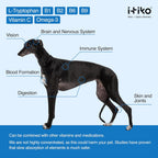 ITIKO Vitaminas para Perros | Suplemento Calmante Sabroso | Tranquilizante para Perros | Apoya el Sistema Nervioso, Reduce Ladridos, L-Triptófano