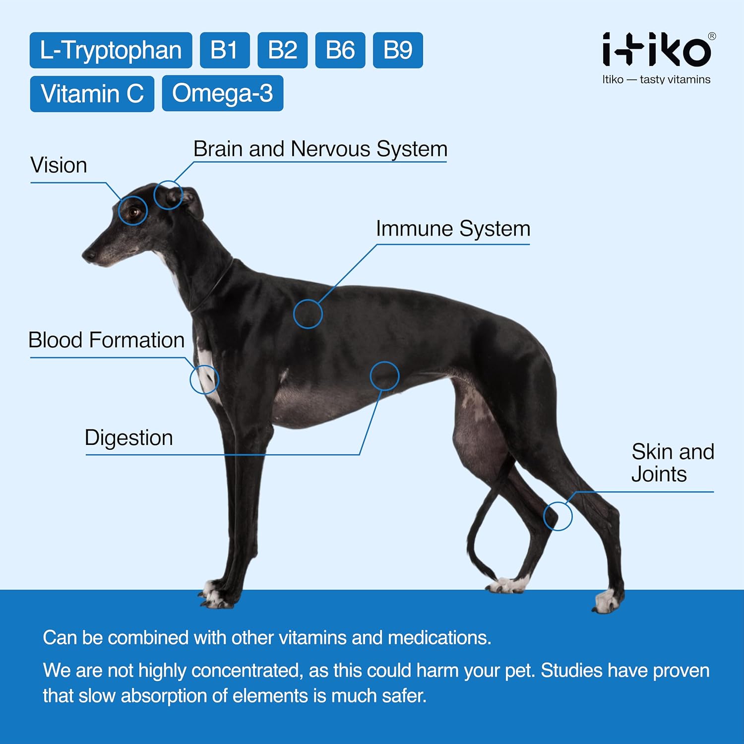 ITIKO Vitaminas para Perros | Suplemento Calmante Sabroso | Tranquilizante para Perros | Apoya el Sistema Nervioso, Reduce Ladridos, L-Triptófano