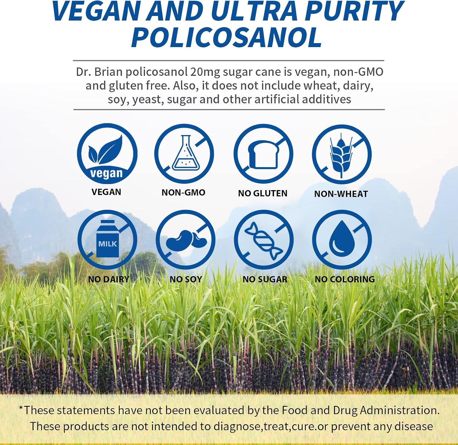 Dr. Brian Policosanol 20mg – 90 Comprimidos Vegetales | Apoyo Cardiovascular