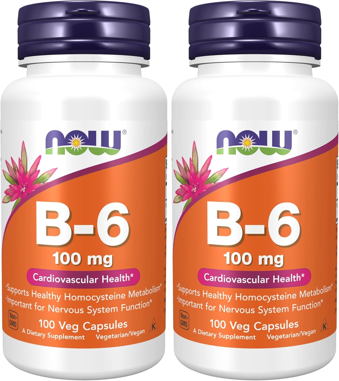 NOW Foods, Vitamina B-6 (Piridoxina HCl) 100 mg, 250 Cápsulas