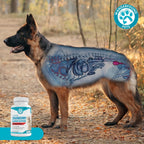 Wanderfound Pets Ultimate Cranberry – Apoyo para la vejiga e infecciones urinarias en perros – 90 comprimidos masticables sabor bacon e hígado