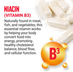 Force Factor Niacina Vitamina B3 500mg – 100 Cápsulas Vegetales