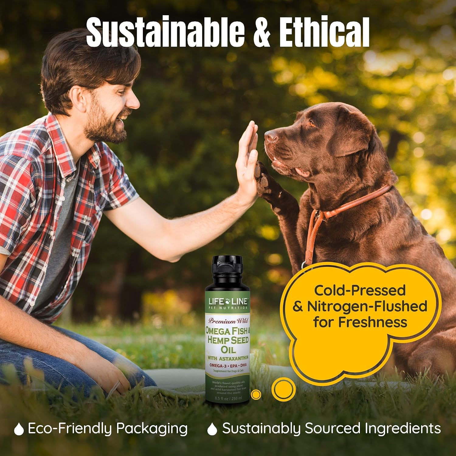 Lifeline Aceite Premium Omega 3 de Pescado y Cáñamo para Perros y Gatos | Apoyo para Piel, Pelaje y Articulaciones | Suplemento Calmante con Astaxantina – 8.5 oz