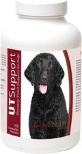 Healthy Breeds Masticables de Arándano para Perros - Apoyo al Tracto Urinario - 75 unidades