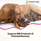 Breeder’s Edge Oral Cal Plus Powder - Calcio y Vitamina D3 para Perros y Gatos Lactantes, 300g
