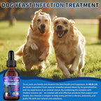 Tratamiento Natural contra Levaduras para Perros | Gotas con Probióticos y Mezcla de 8 Hierbas | Apoya Piel, Oídos y Alivio de Alergias | Sabor a Bacon