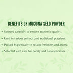 AYURVEDASHREE Mucuna Seed Powder 200g | Kapikacchu | Kaunch Beej