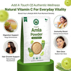 Ayushka Organic Amla en Polvo (Amalaki) – Grosella India Orgánica 250g