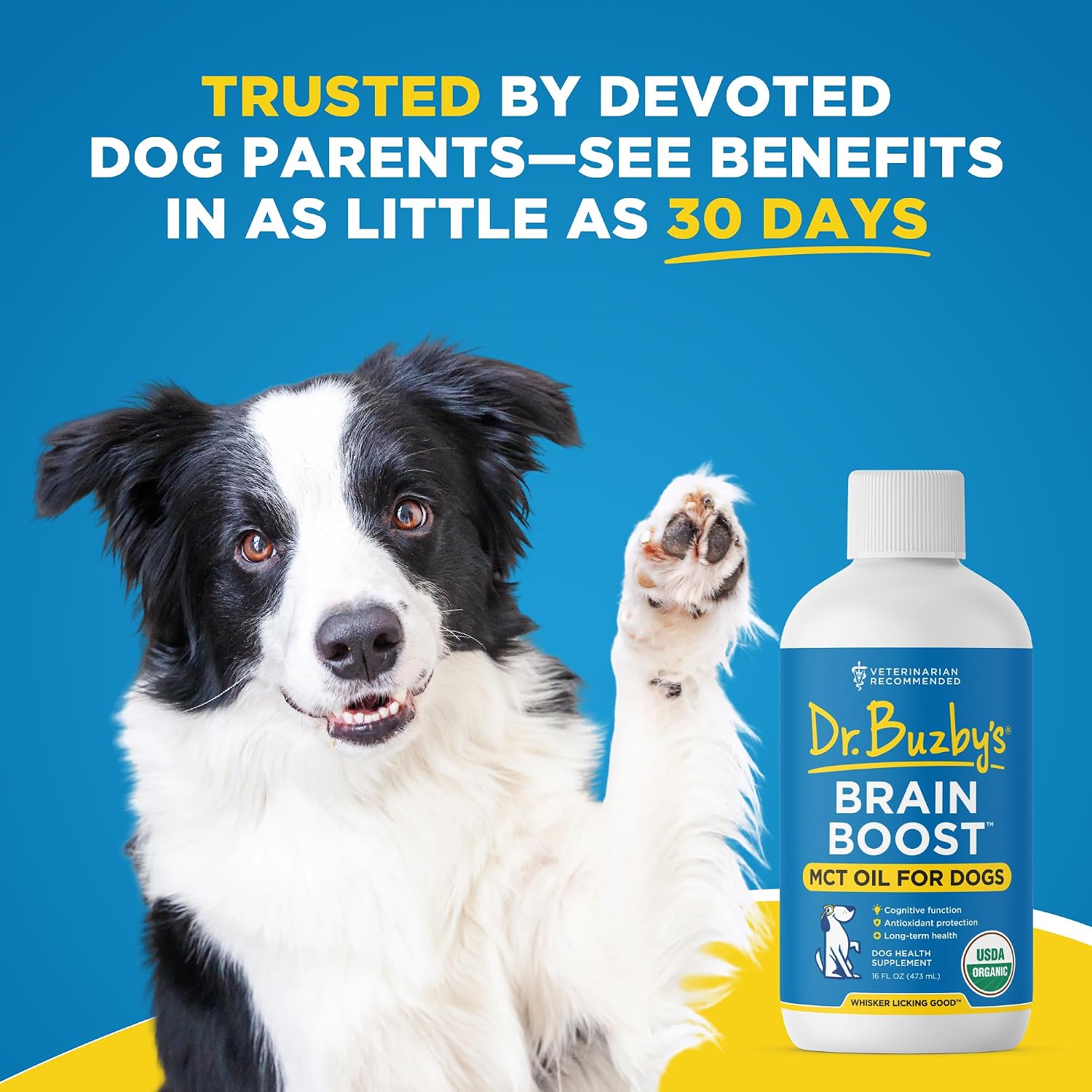 Dr. Buzby's Brain Boost Aceite MCT Orgánico para Perros, 473 ml (16 oz)
