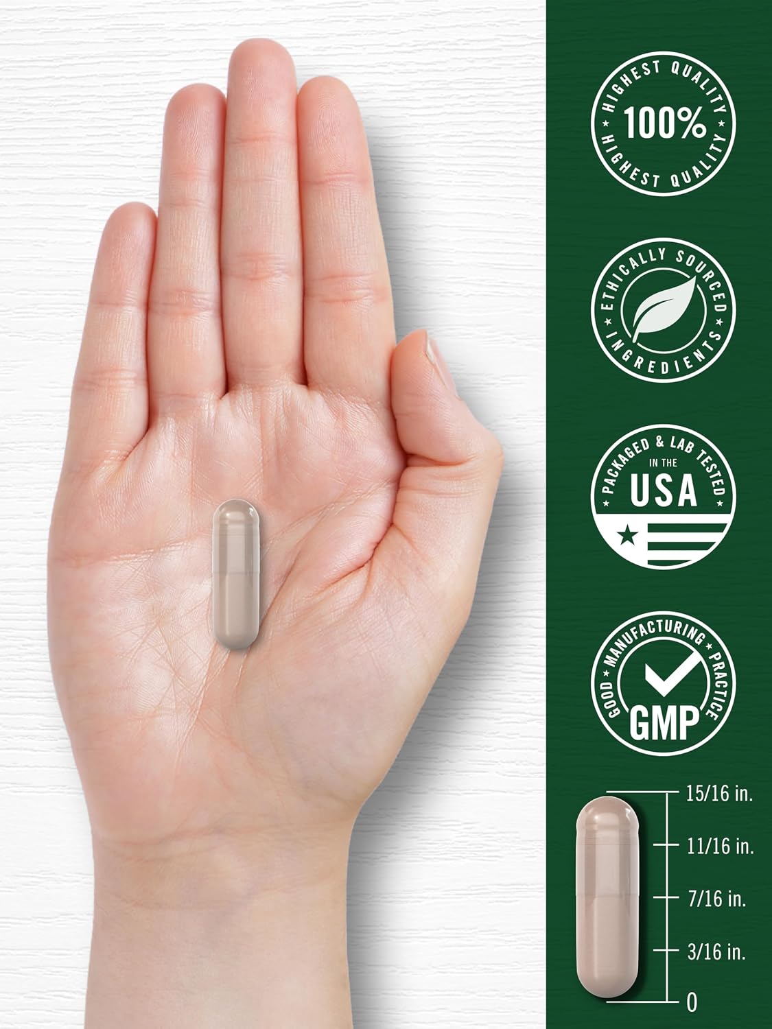 Carlyle Extracto de Castaño de Indias 600mg | 180 Cápsulas | Suplemento Herbal