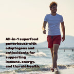 DEAL SUPPLEMENT Irish Sea Moss 240 Cápsulas Veganas – Complejo de 14 Superalimentos con Ashwagandha, Jengibre y Aceite de Semilla Negra