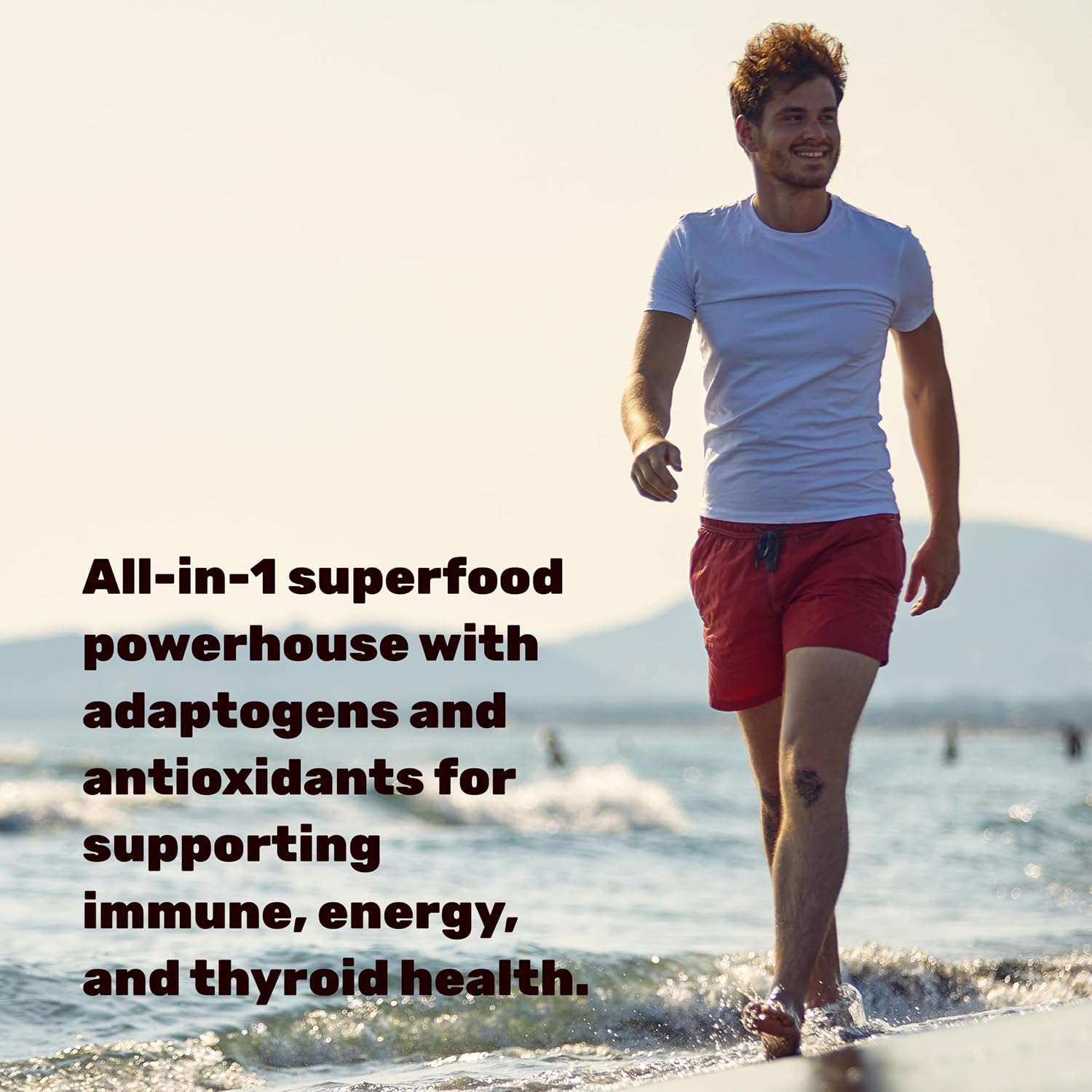 DEAL SUPPLEMENT Irish Sea Moss 240 Cápsulas Veganas – Complejo de 14 Superalimentos con Ashwagandha, Jengibre y Aceite de Semilla Negra