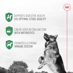 Royal Canin Probióticos para Perros, Salud Digestiva e Inmunitaria, Suplemento en Polvo para Perros de Todas las Edades, 7 Sobres